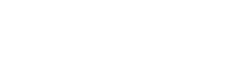 Balancer's Logo